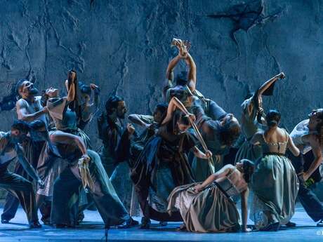 Festival Arte Flamenco