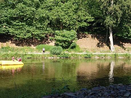 Les vaches qui regardaient passer les trains