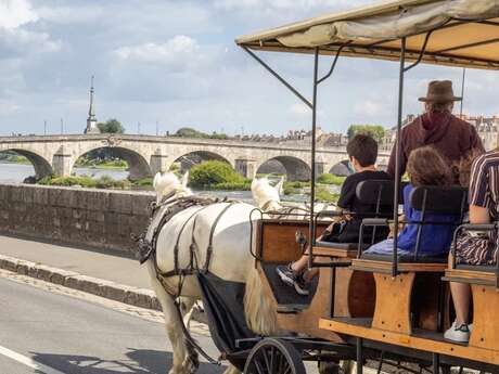“En voiture !” avec les Attelages du Château