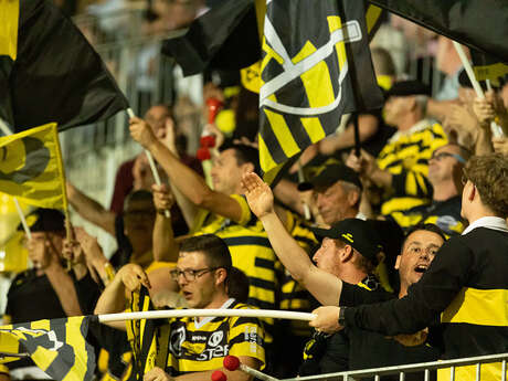 Stade Montois Rugby - Provence Rugby