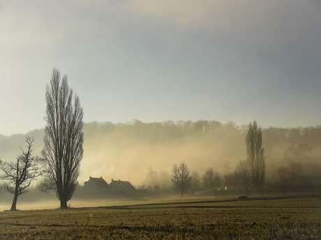 Exposition photographies : Présences