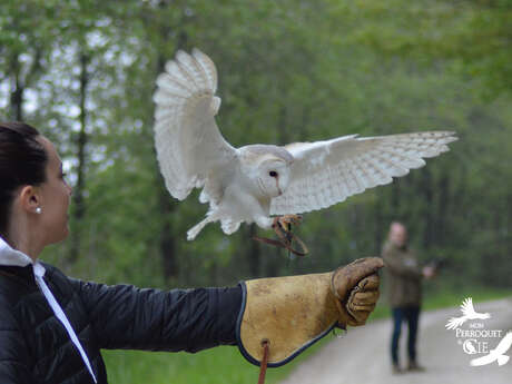 Mon Perroquet et Cie