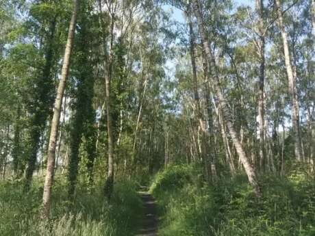 Conservatoire d'Espaces Naturels des Hauts de France - Paysages du Nord !