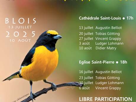 Festival d'été Jeux d'Orgue 41 Festival d'été Jeux d'Orgue 41