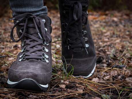 Randonnée pédestre