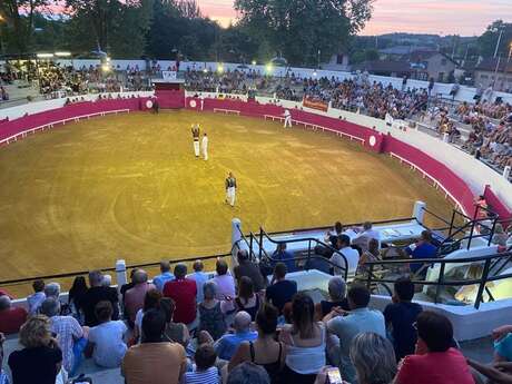 Course landaise