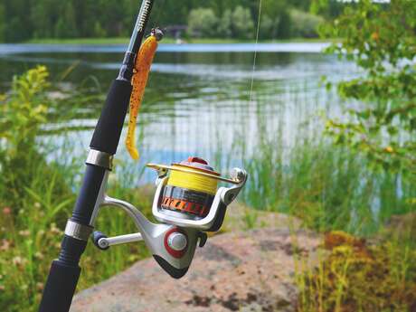 Découverte de la pêche au coup