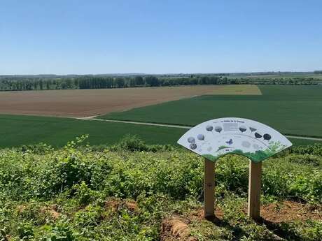 Conservatoire d'Espaces Naturels des Hauts de France - Fêtons Dame Nature