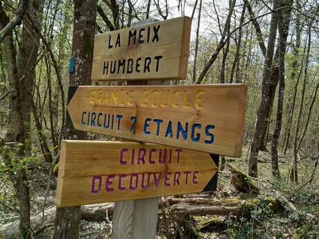 Circuit découverte