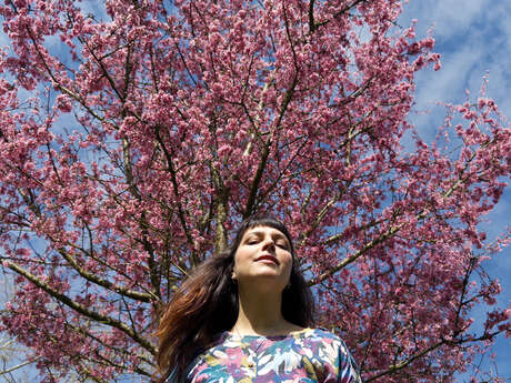 Mesparrow – slow live