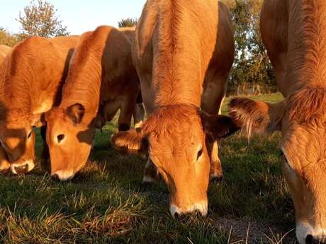 Porte Ouverte à la ferme de Lartois