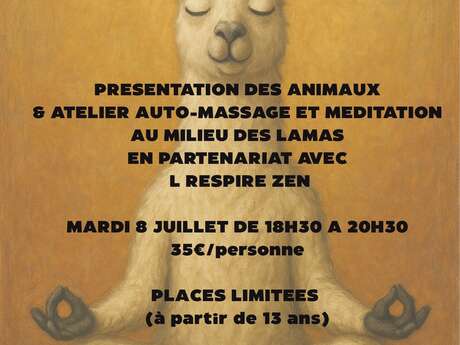 Atelier auto-massage & méditation avec les lamas Atelier auto-massage & méditation avec les lamas