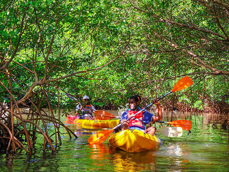 Madinina Kayak Tripping