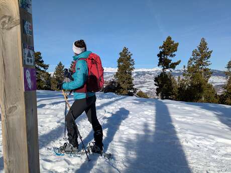 PARCOURS RAQUETTE N°6- LE TOUR COTZE