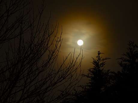 Exposition L'instant