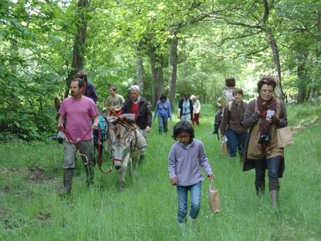 Portes ouvertes Les ânes de Madame