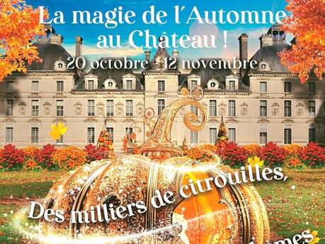 automne magique au Château de Cheverny