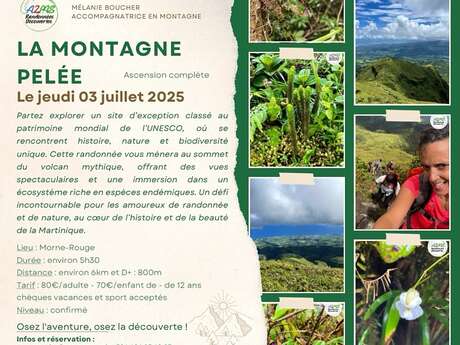 Randonnée La Montagne Pelée - Ascension complète (Rando A2Pas)