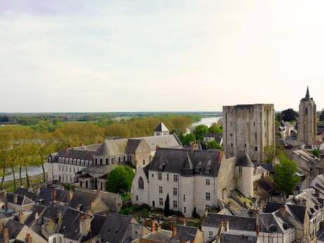 Château de Beaugency - Château de Lumières