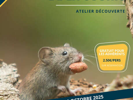 Journée de la souris