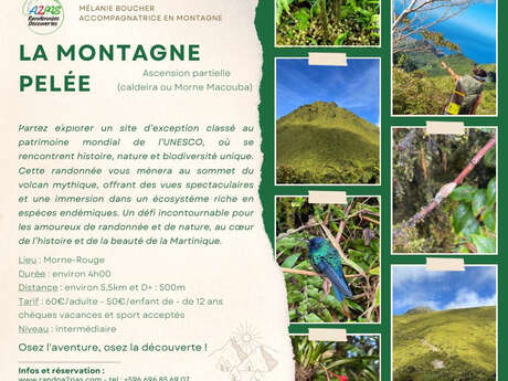 Randonnée La Montagne Pelée - Ascension partielle (Rando A2Pas)