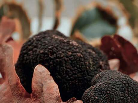 Marché de la truffe noire