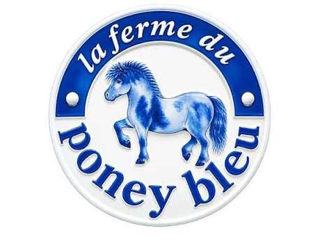 La Ferme du Poney Bleu, Équitation