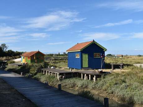 Exposition du Club Photos de Fouras