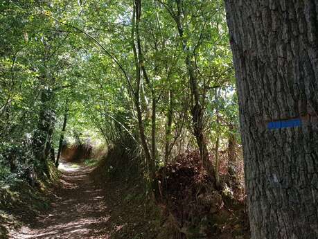 Les chemins creux de Coutances mer et bocage Les chemins creux de Coutances mer et bocage
