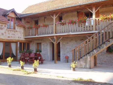 Le Petit Norvin : L'Orchidée