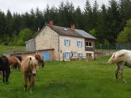 Location Gîtes de France - ROYERE DE VASSIVIERE - 8 personnes - Réf : 23G1324 Location Gîtes de France - ROYERE DE VASSIVIERE - 8 personnes - Réf : 23G1324