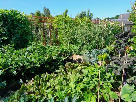 Réussir ses carrés potagers en « Jardinant au naturel » !