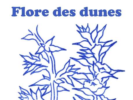 Exposition Flore des dunes - gravures de Danny Steve