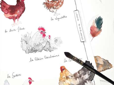 Atelier aquarelle « De la Plume à la Poule »