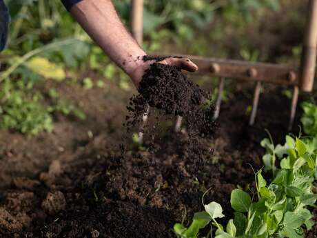 Je démarre mon potager ! Ou l'art de bien planifier ses cultures