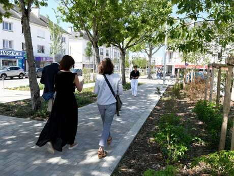 Laissez-vous guider en centre-ville