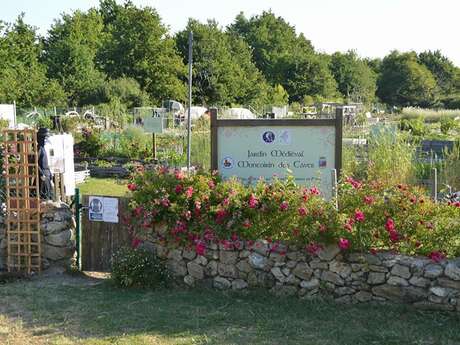 Conférence au jardin médiéval des Caves « Du blé au pain »
