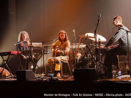 Folk en Scènes #14, organisé par le VIP