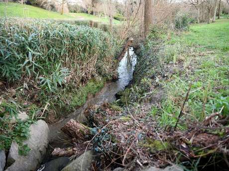 Le ruisseau de Porcé se refait une beauté