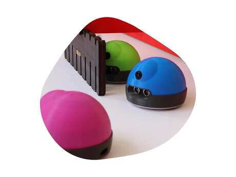 Atelier numérique : Robot AlphAI