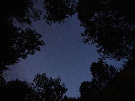 Que nous réserve le paysage nocturne ce soir ?