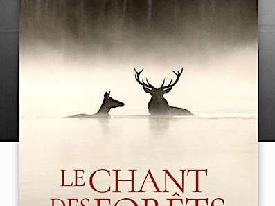 Ciné-nature : « Le chant des forêts »