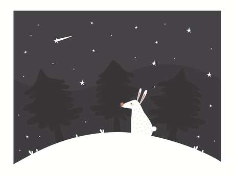 Lectures sous les étoiles