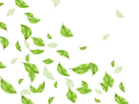 Lectures à feuilles ouvertes