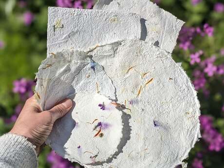 Atelier papier à semer