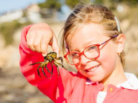 Chasse aux trésors sur la plage, sortie à la plage avec Écho nature