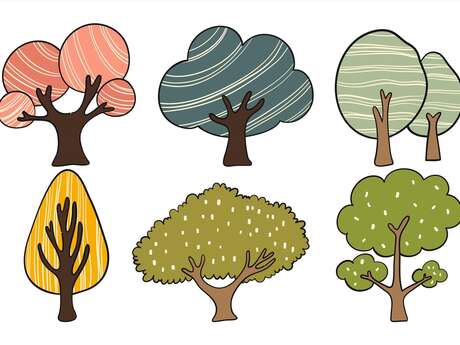 Sortie nature « Arbres-Mondes »