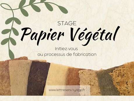 Fabrication de papier végétal à partir de la cueillette sauvage