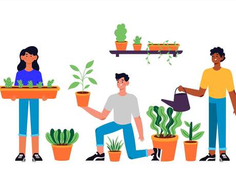 Troque ta plante à la médiathèque