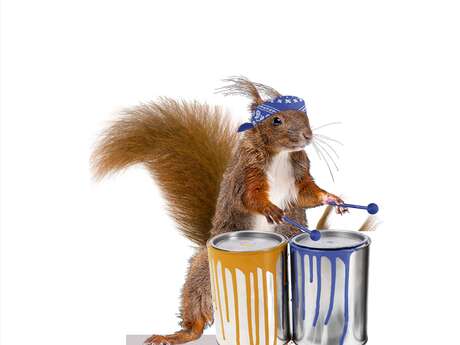 Appel à talents, Fête de la musique